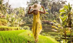 Korte rondreis Bali (Bali Travel)