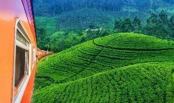 Paradijselijk Sri Lanka (Sri Lanka Travel NL)