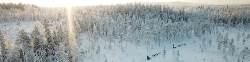 Huskytocht Zweden (Sundowner Wildlife Holidays)
