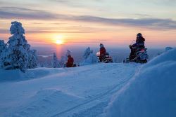 Finland winter vakantie (Sundowner Wildlife Holidays)