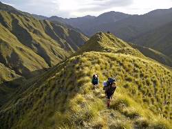 Neuseeland: Arataki - Die schönsten Wander- und Trekkingtouren (Diamir)