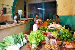 Kuba: A lo Cubano – Naturschätze Kubas erkunden (Diamir)