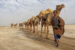 Äthiopien • Djibouti: Durch die Wüste Danakil (Diamir)