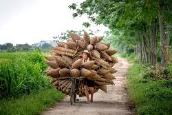 Vietnam: Auf Foto-Streifzug im Herzen der Reisterrassen (Diamir)