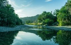 Oman: Weihrauch, Wüste und wilde Wadis (Diamir)
