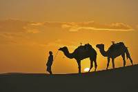 Marokko: Kasbahs, Souks und Wüstendünen (Diamir)