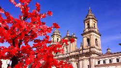 Best of Colombia and the Coffee Triangle (Indus)