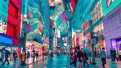 Treasures Of Japan (Indus)