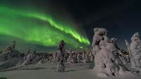 Rovaniemi Winter Experience (Indus)