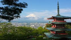 Essential Japan (Indus)