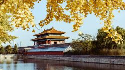 Classic China (Indus)