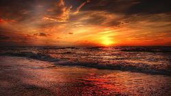 Vietnam Beach Escape (Indus)