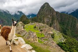 Peruvian Dream (Indus)