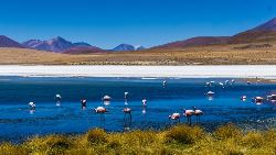 Essential Peru And Bolivia (Indus)