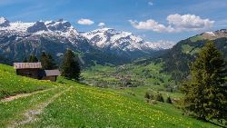 Splendid Switzerland (Indus)