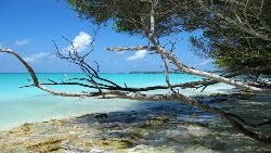 Dazzling Maldives and Qatar (Indus)