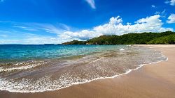 A Taste Of Costa Rica (Indus)