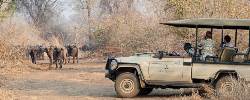 Kenya's Luxury Safari Adventure (Go2Africa)