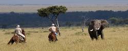 Masai Mara Horse-riding Safari (Go2Africa)