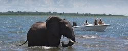 Victoria Falls & Zimbabwe Community & Wildlife Safari (Go2Africa)