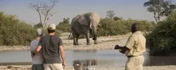 Picture:Romantic Botswana's Delta & Savute
