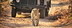 10-Day Best-Priced Cape Town, Kruger & Vic Falls (Go2Africa)