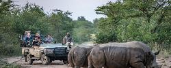 Affordable Cape Town, Kruger & Vic Falls (Go2Africa)