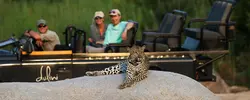 Picture:South Africa's Kruger Park & Mauritius safari
