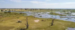 Botswana's Delta, Savute & Chobe (Go2Africa)