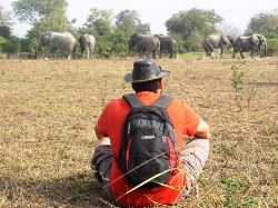 Accra to Nairobi (27 Weeks) Trans Africa (Oasis)