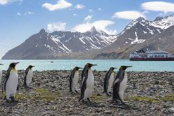 2024/25 23-Daagse Hurtigruten Ultieme expeditie naar Antarctica, Falkland eilanden en South Georgia (BBI Travel)