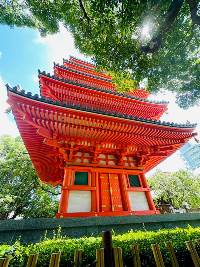 North Korea, South Korea & Japan Group Tour (Madventure)