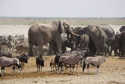 Victoria Falls To Cape Town Group Overland Tour (Madventure)