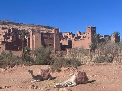 Morocco To Ghana Group Overland Tour (Madventure)