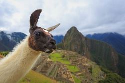 Santiago To Lima Overland Expedition (Dragoman)