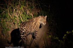 Cayenne To Cartagena Via The Guianas & Venezuela Overland Expedition (Dragoman)