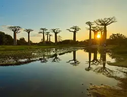 Madagascar In-Depth Small Group Tour (Dragoman)