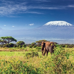 East Africa Private Safari (Globus)