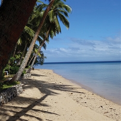 Independent Tropical Fiji (Globus)
