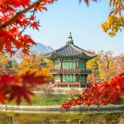 Discover South Korea (Globus)