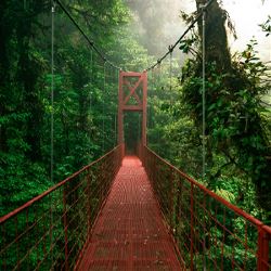 Costa Rica's Pura Vida Escape (Globus)