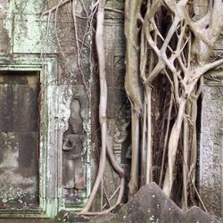 Enchanting Thailand with Singapore & Phuket (Globus)