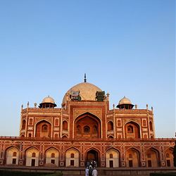 Icons of India: The Taj, Tigers & Beyond (Globus)
