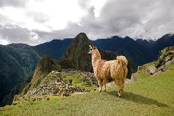 Picture:Peru With Machu Picchu