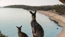 South Australian Eyre Peninsula Escape (AATKings)