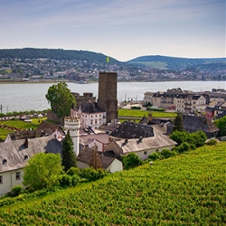 Swiss Splendors by Train with Romantic Rhine Cruise (Avalon)