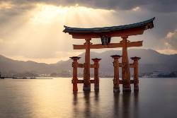 Splendours of Japan (Trafalgar Tours)