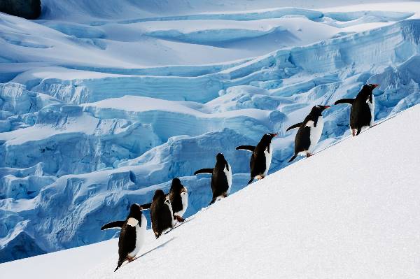 Antarctic Circle Quest (Exodus)