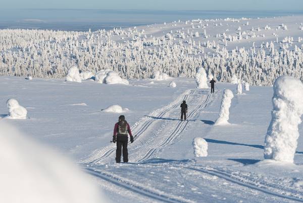 Cross-Country Skiing in Lapland (Exodus)