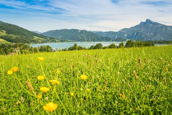 Self-Guided Walking in Austria's Lake District (Exodus)